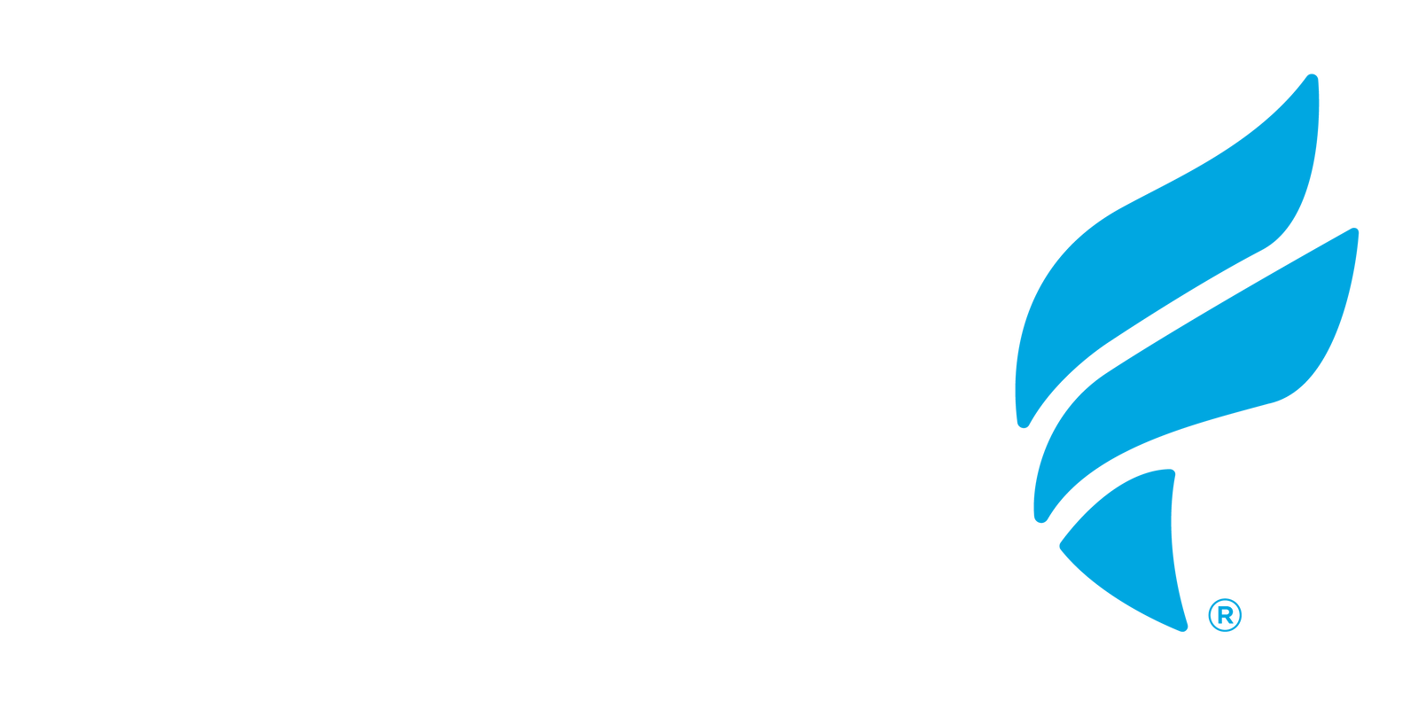 Fleet Feet logo