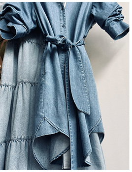 Pia Denim Dress