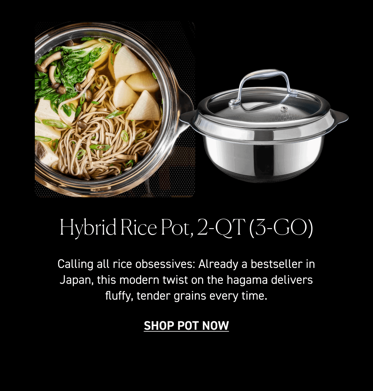 Hybrid Rice Pot, 2-QT (3-GO) [Shop Now]