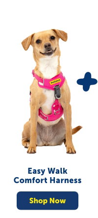 Shop Easy Walk Comfort Harness