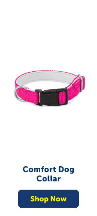 Shop Comfort Dog Collar