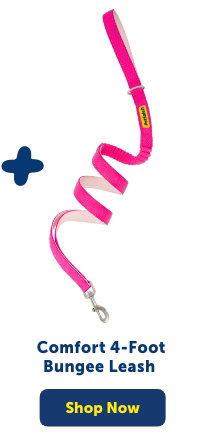 Shop Comfort 4-Foot Bungee Leash