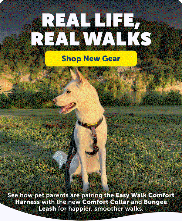 Real life, real walks. Shop new walking gear.