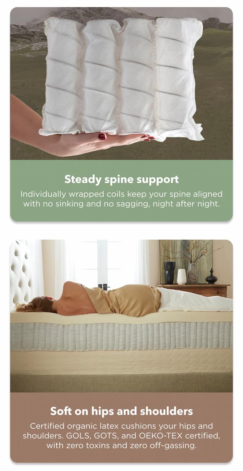Steady spine support