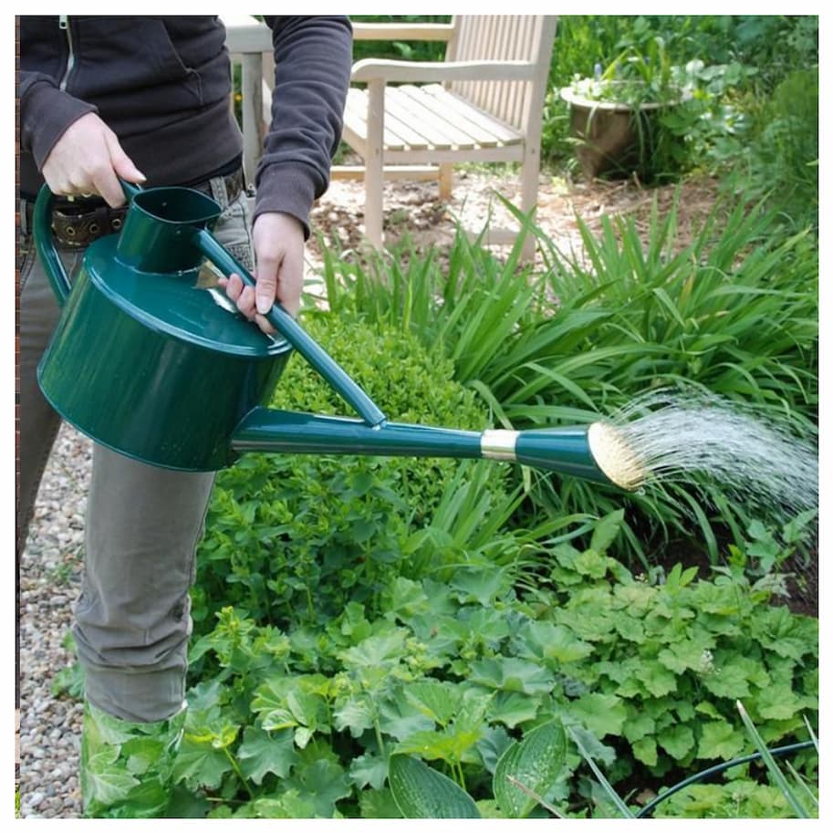 Long Spout Watering Can