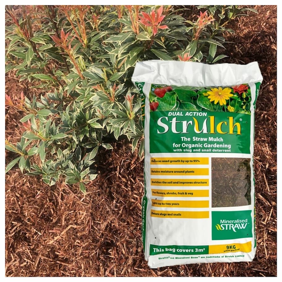 Mulch