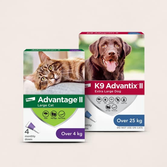 Flea & Tick Product Image