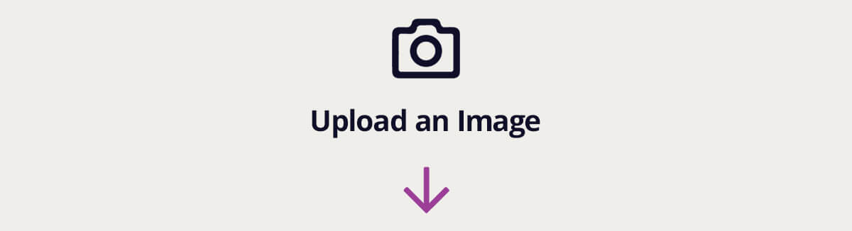 Upload an Image