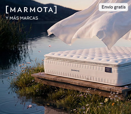 Marmota