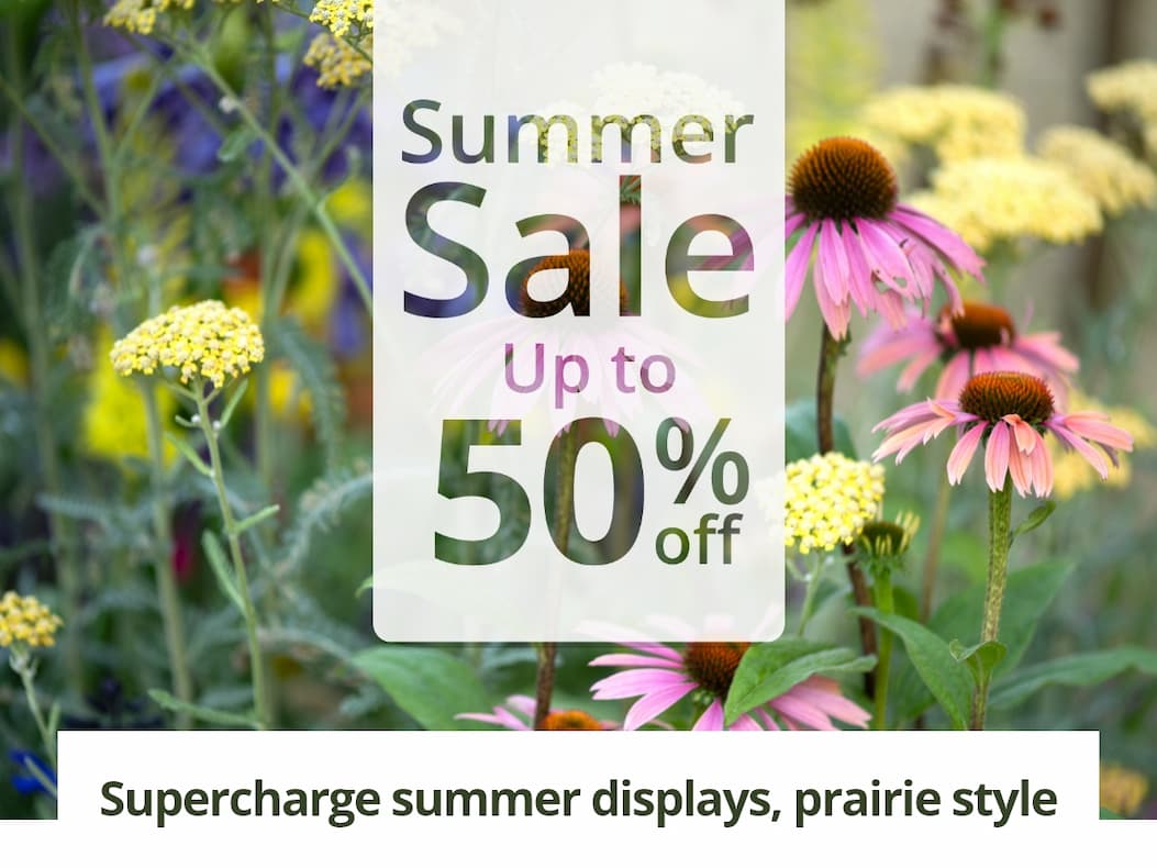 Supercharge summer displays, prairie style