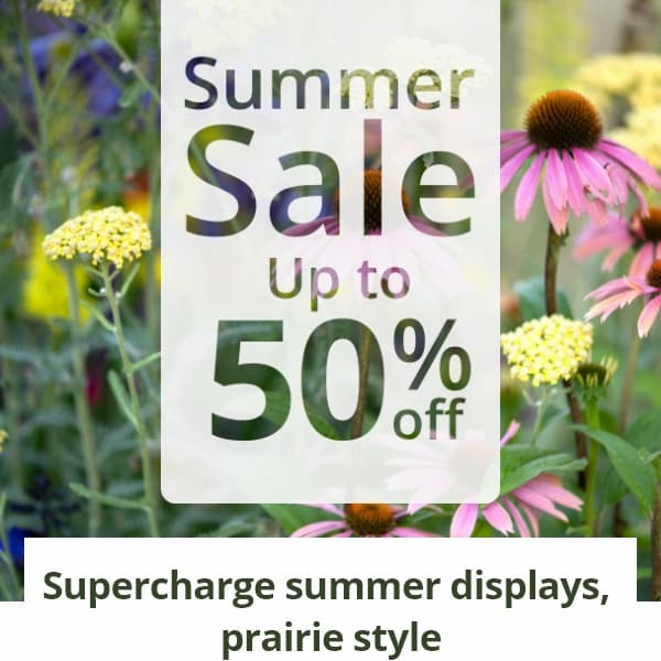 Supercharge summer displays, prairie style