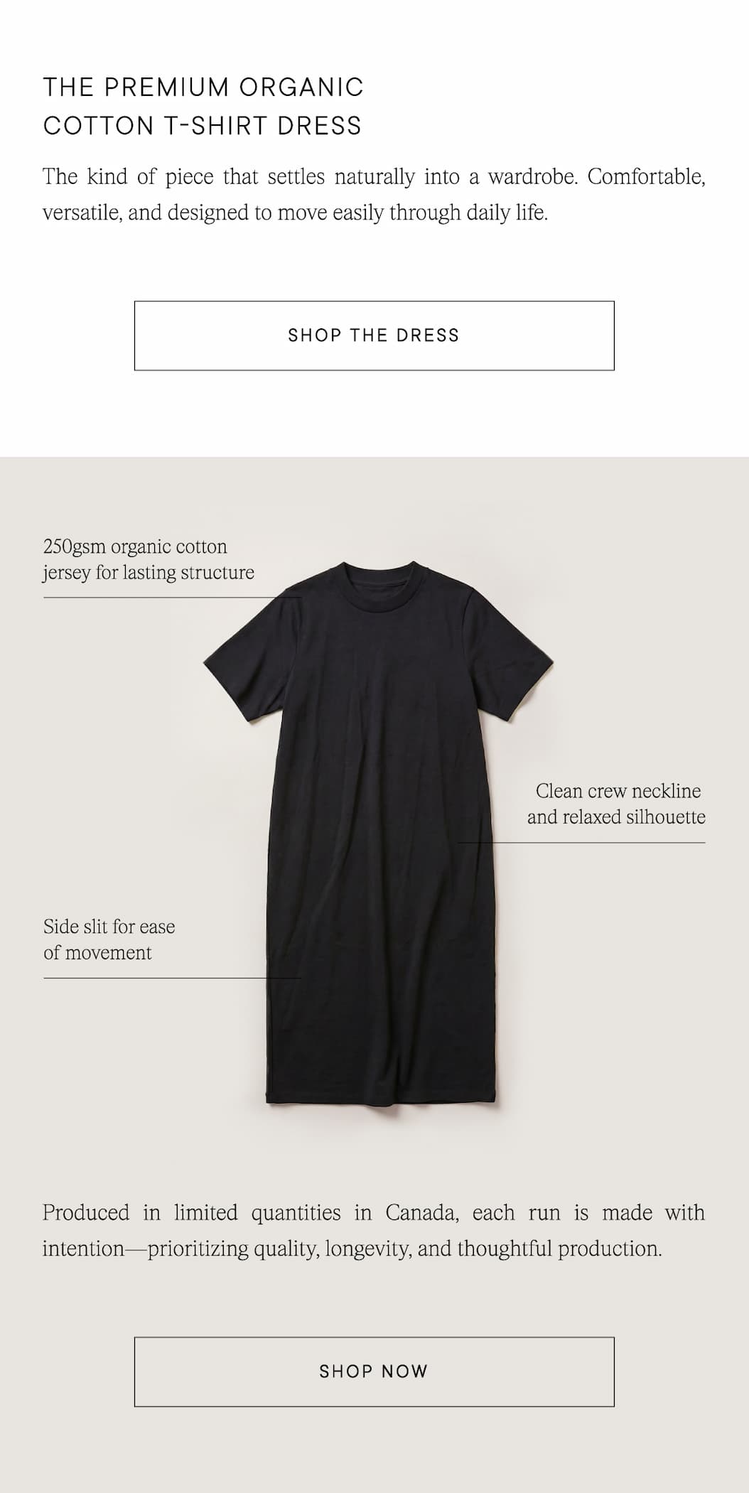 Shop Ecologyst Premium Organic Cotton T-shirt Dress