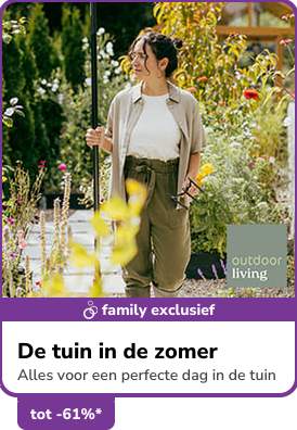 Campaign 8