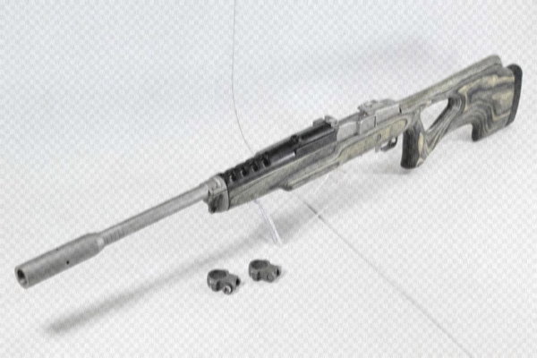 Ruger Mini 14
