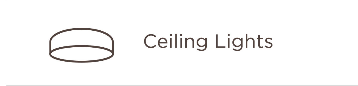 Ceiling Lights
