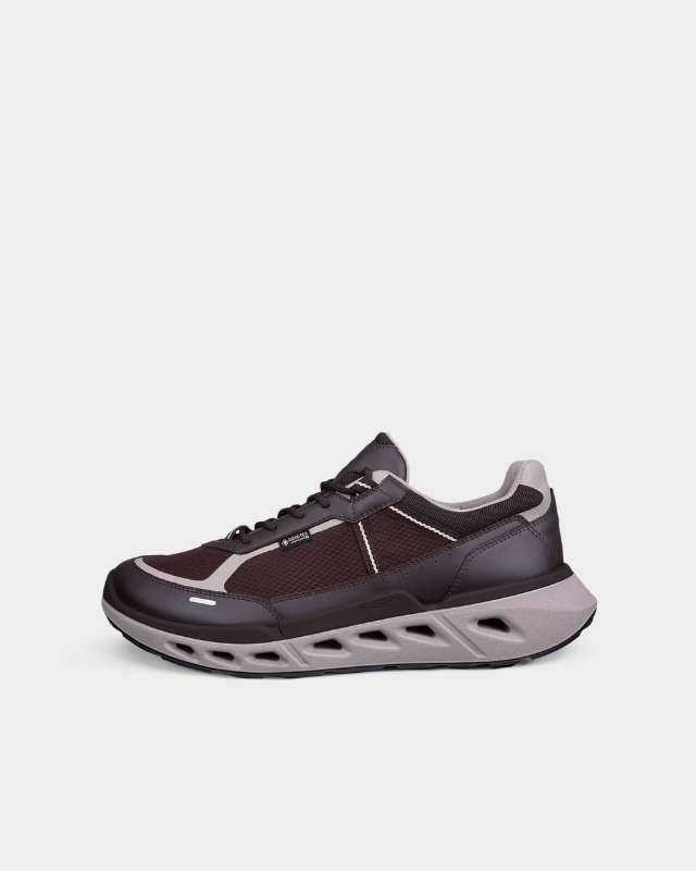 ECCO Biom 720 Gore-Tex