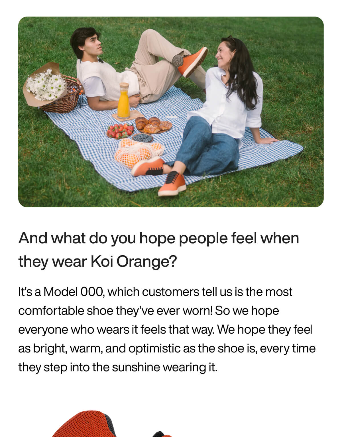 "Couple enjoys a picnic on a blue blanket with food and orange shoes, embodying comfort and optimism in the sunshine."
