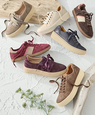 Step into<br>Comfort</br>