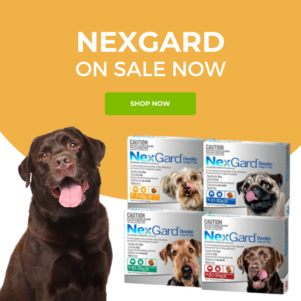 Nexgard on sale