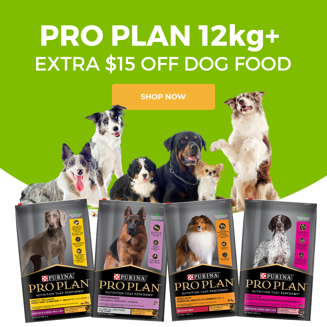 Pro Plan on sale now