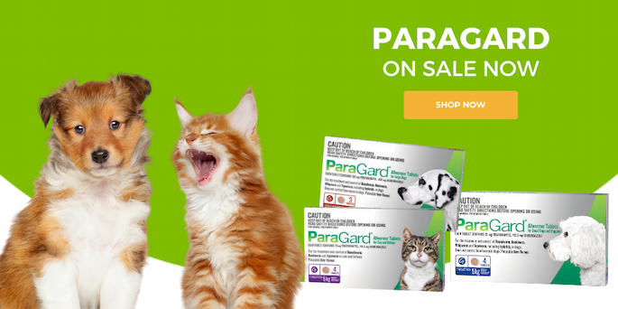 Paragard on sale now