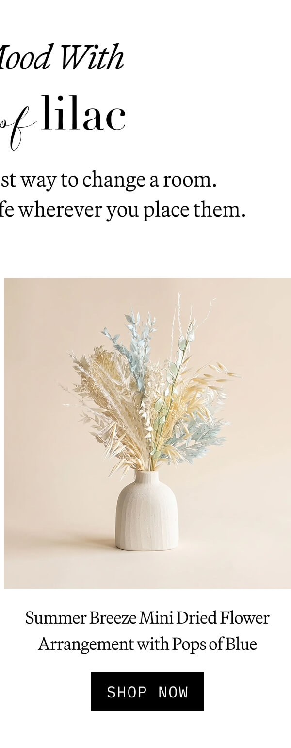 Set The Mood with House of Lilac