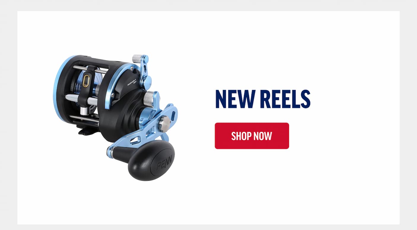 New Reels
