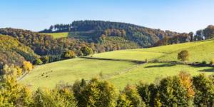 ibis Styles Arnsberg Sauerland