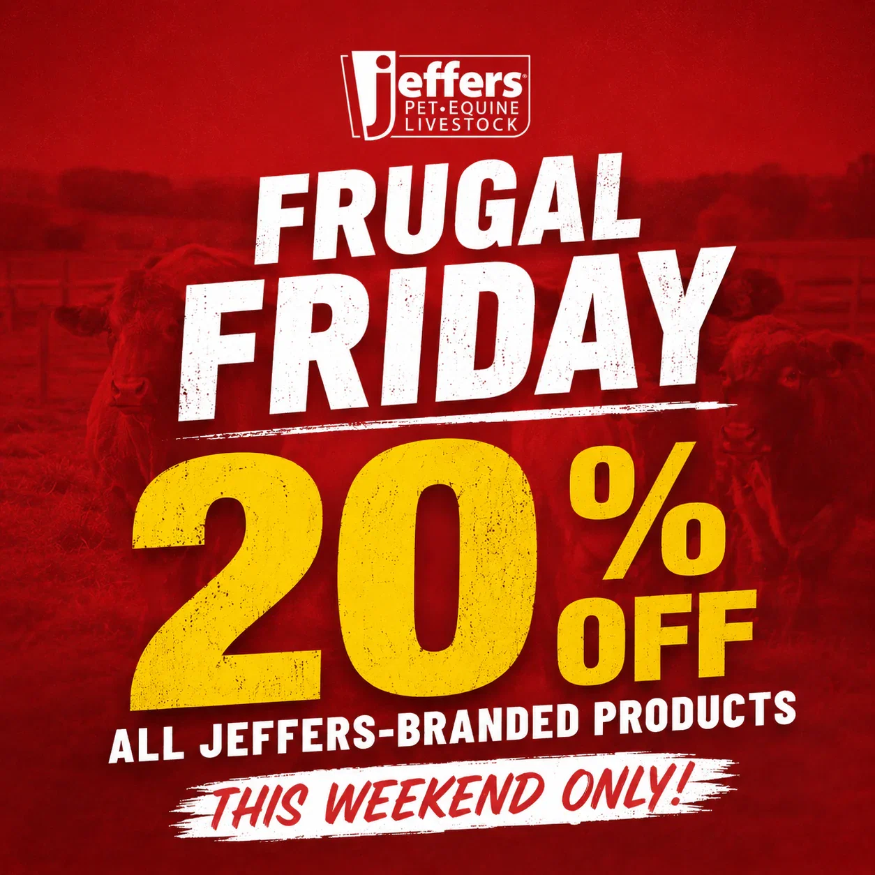 SHOP JEFFERS