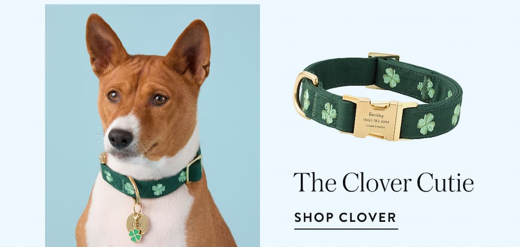 Shop clovers