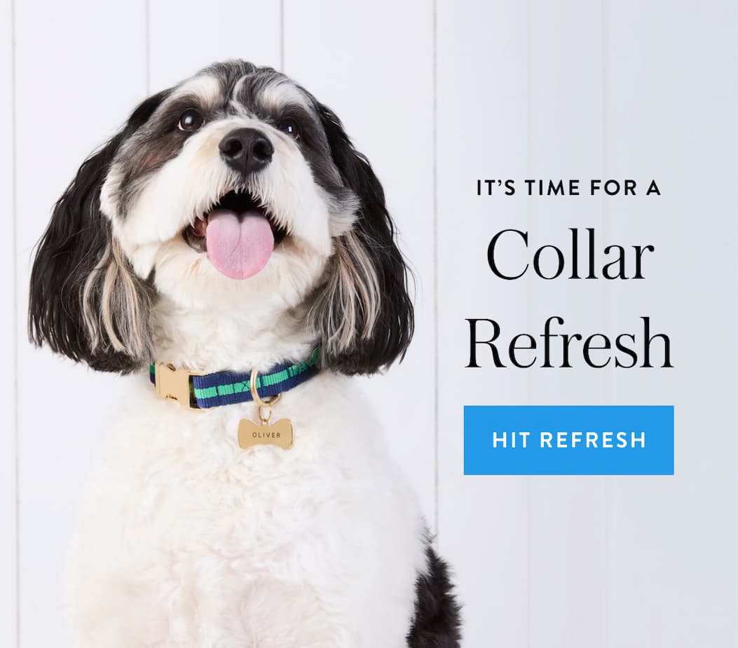 Shop collars