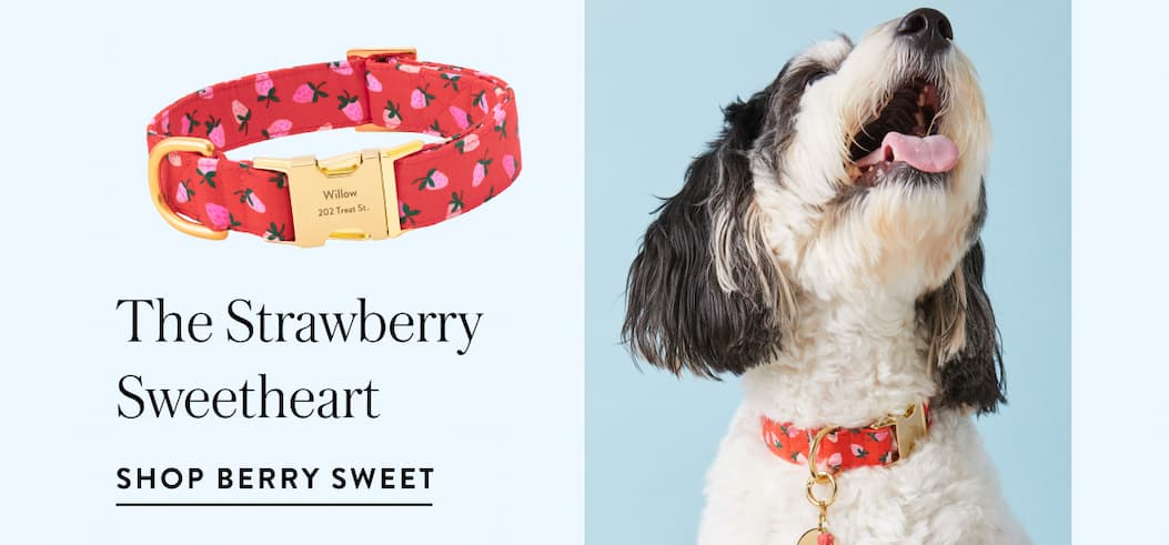 Shop berry sweet