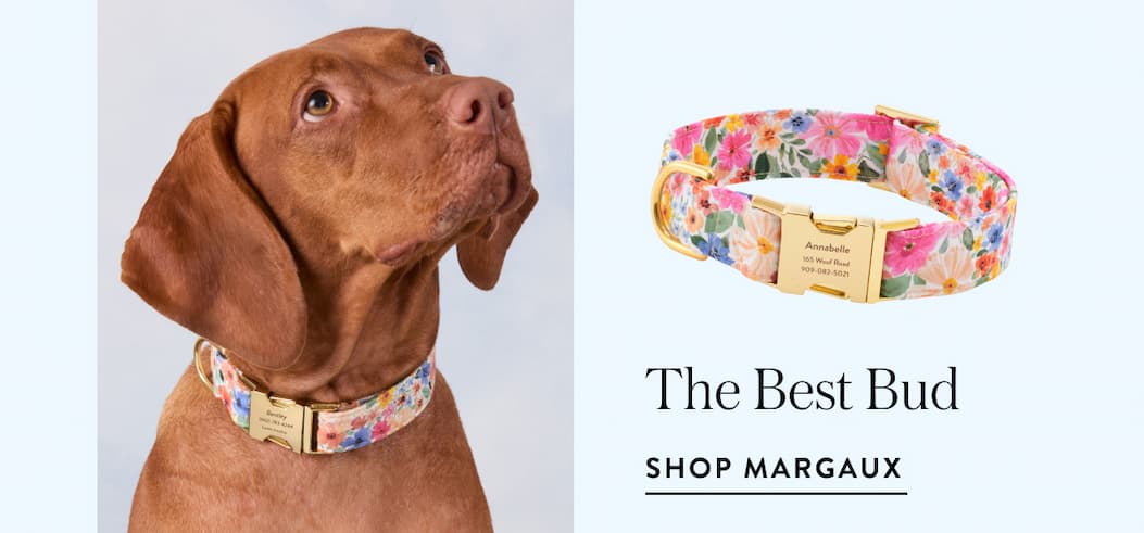 Shop margaux