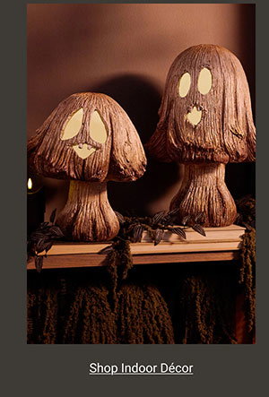 Shop Indoor Décor >