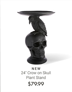 24" Crow on Skull Plant Stand