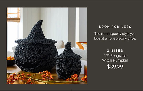17" Seagrass Witch Pumpkin
