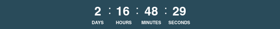 24 Hour Countdown Timer