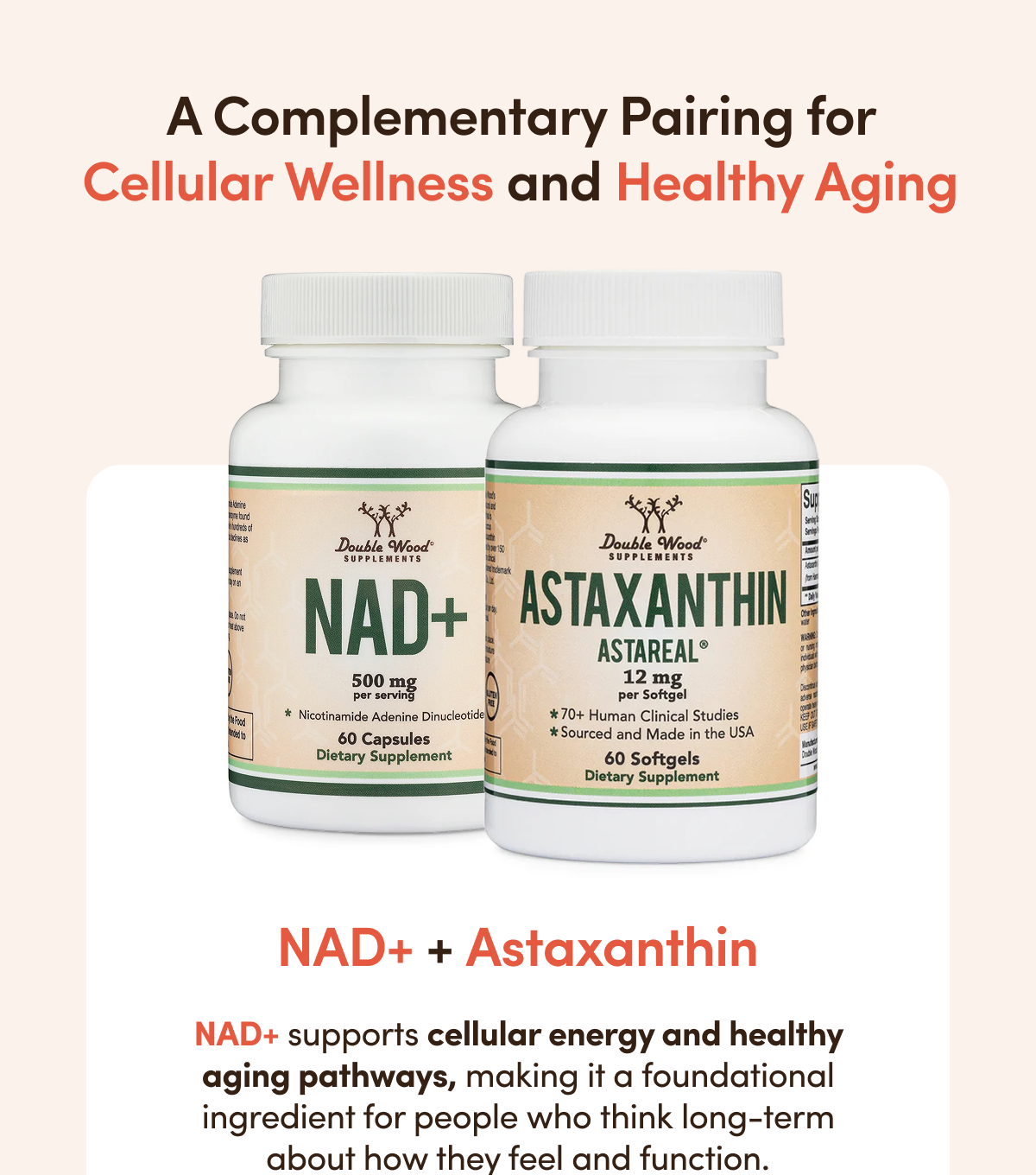 A Complementary Pairing for Cellular Wellness and Healthy Aging