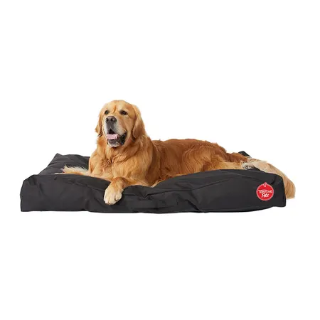Image of Xtra Durable Dog Lounger