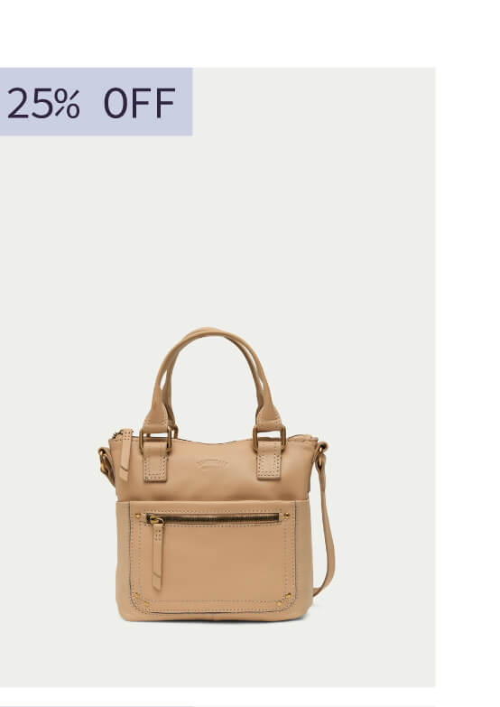 Jamestown Mini Tote Crossbody
