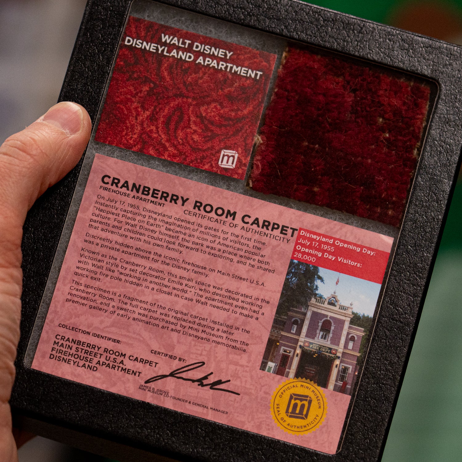Image of Cranberry Room Carpet - 2x2 Inches