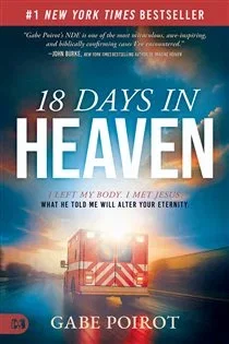 18 Days in Heaven, by Gabe Poirot