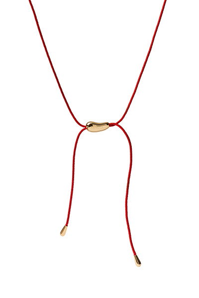 Image of PDPAOLA 