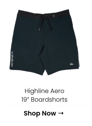 Highline Aero 19" Boardshorts