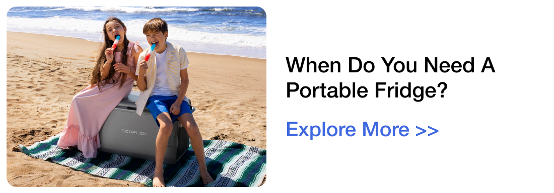 When Do You Need a Portable Fridge? Explore More >>