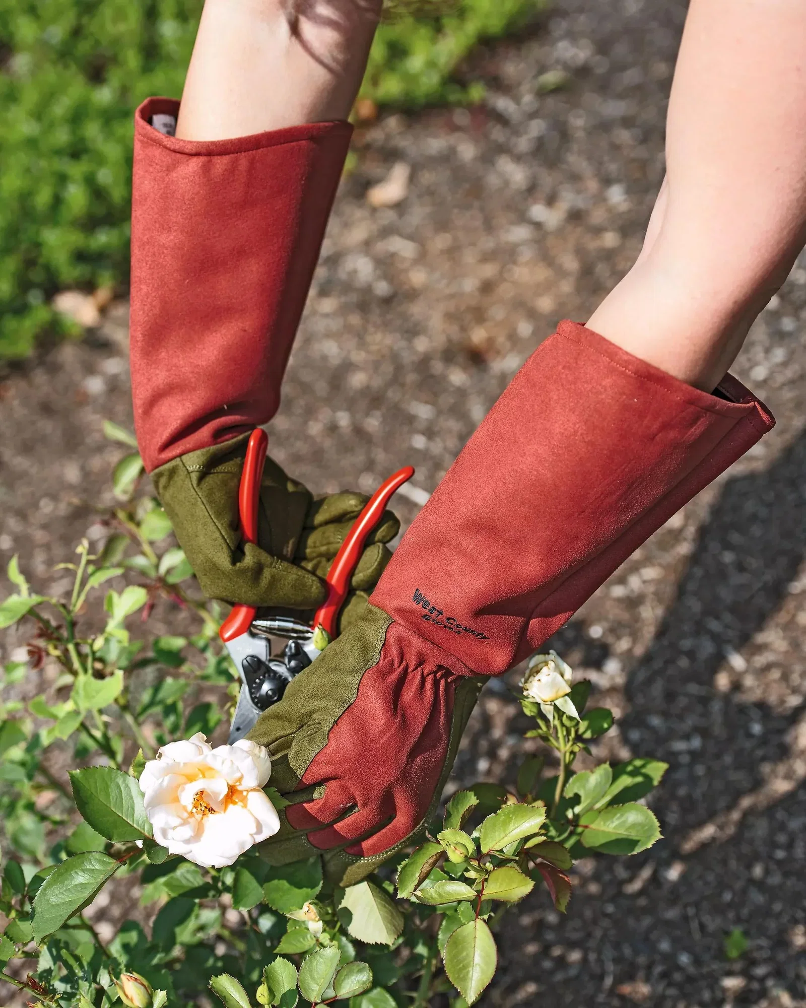 Image of Rose Gloves