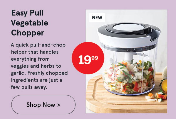 Easy Pull Manual Vegetable Chopper
