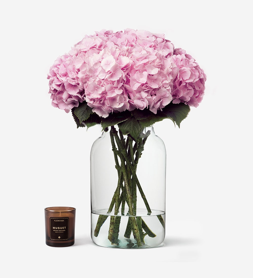 Hydrangeas
