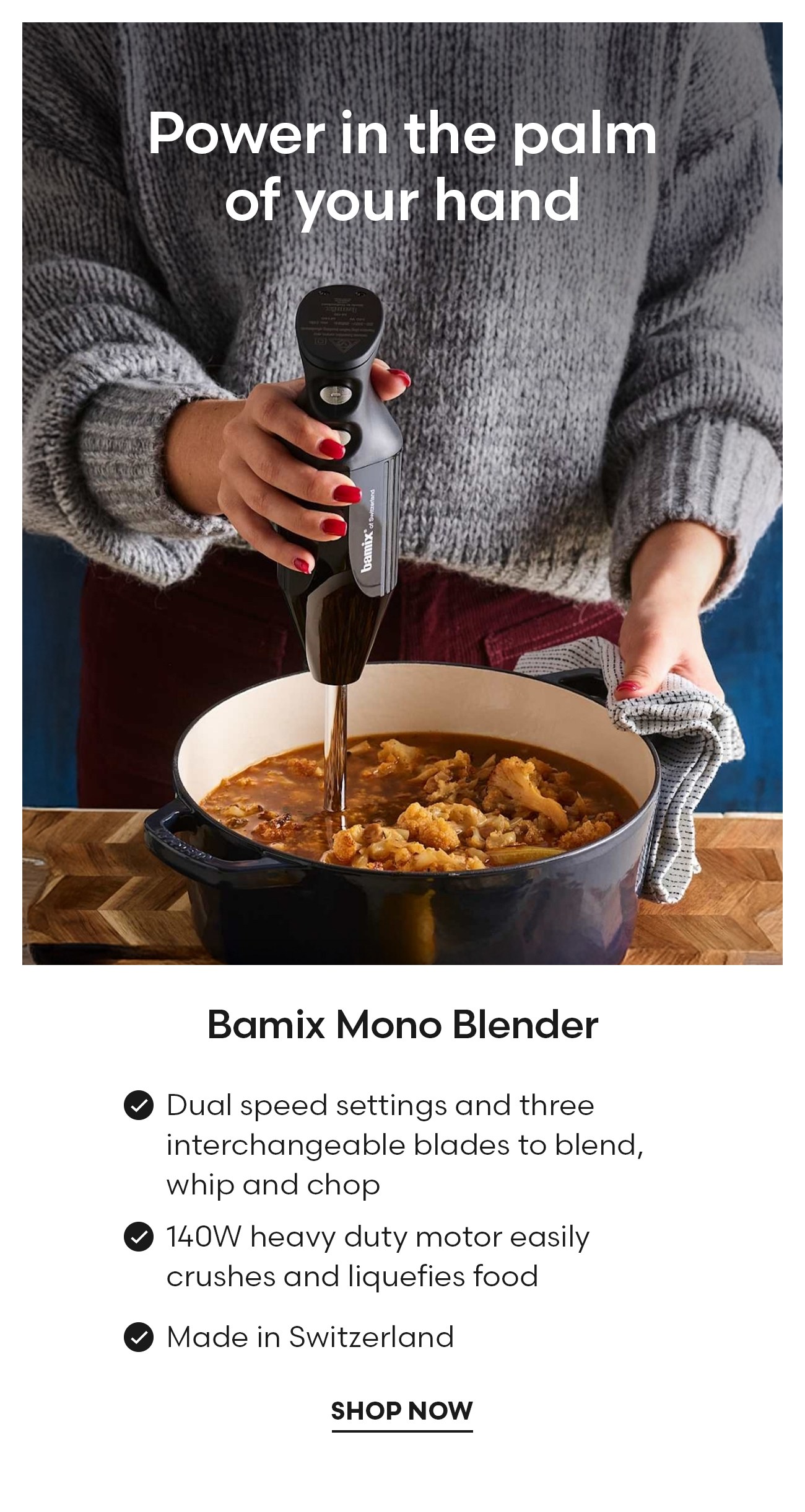 Bamix Mono Blender