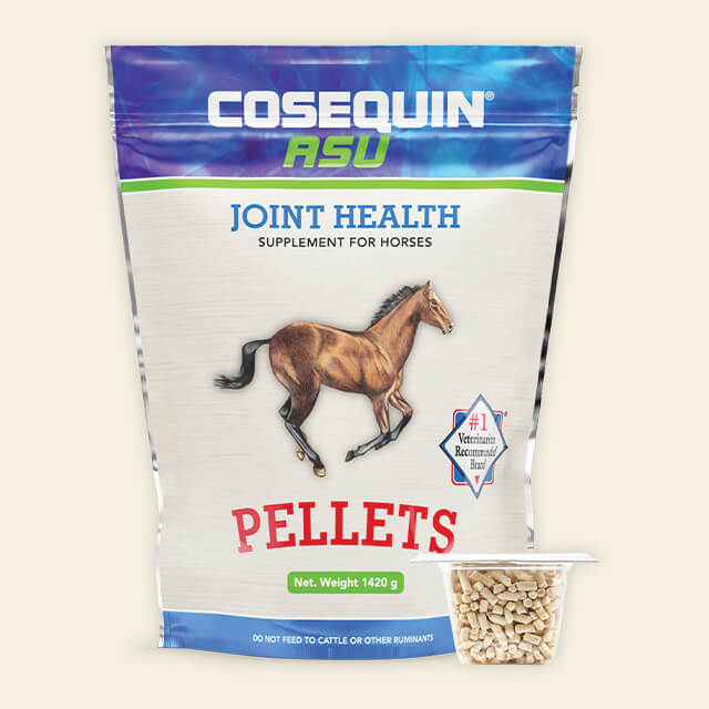 Cosequin ASU.
